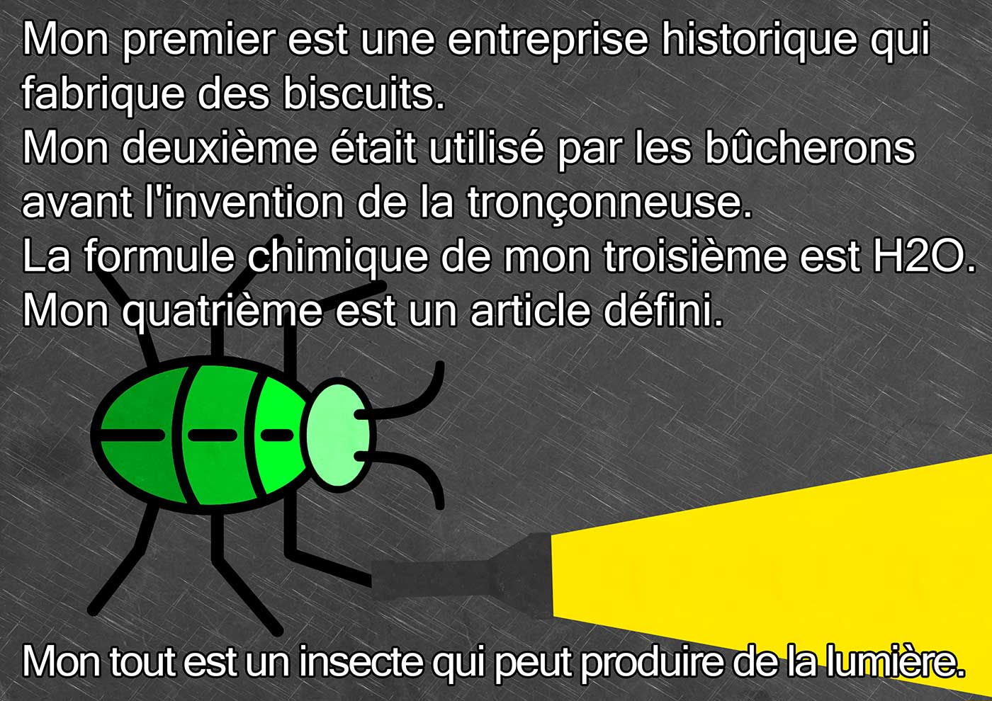 Charade Insecte